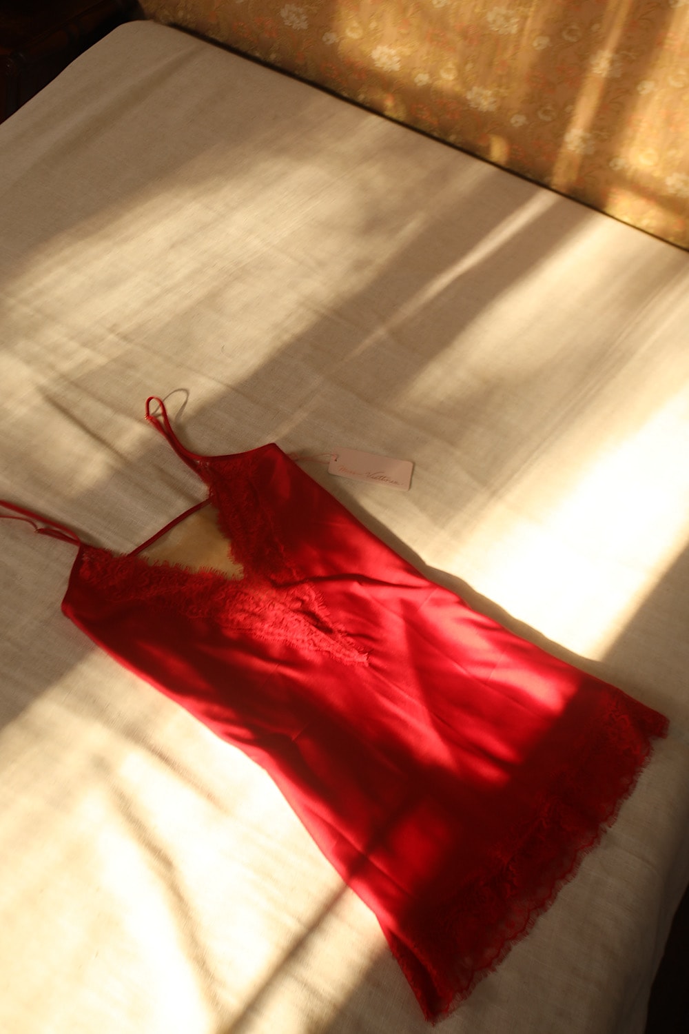 image_49883e58-eab4-443a-a5d2-79e19c584a65