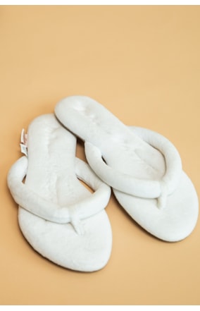 CHINELO DE PLUSH (1475)
