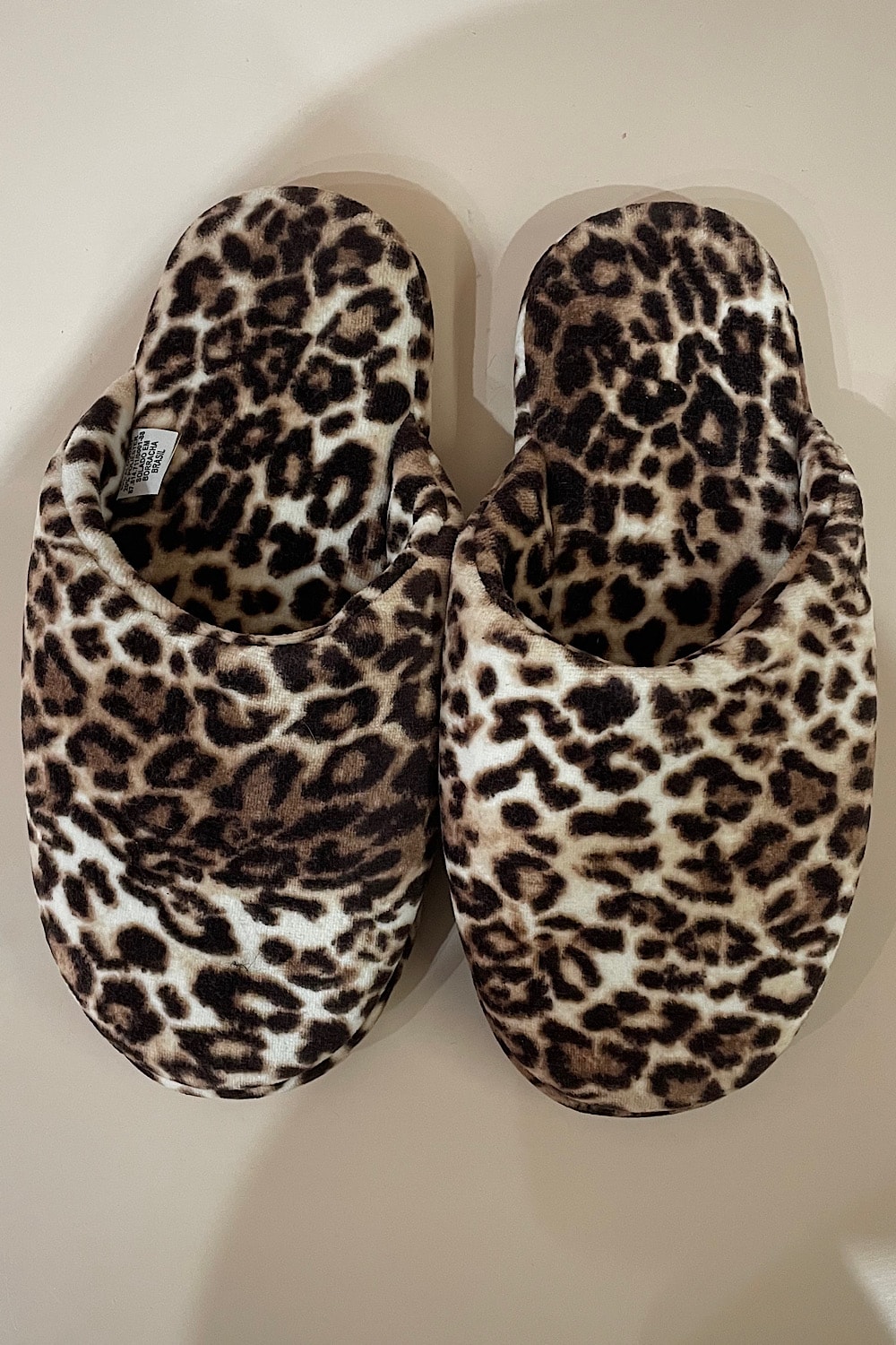 image_d19a4b80-b01a-452b-a10d-1b2cac582369