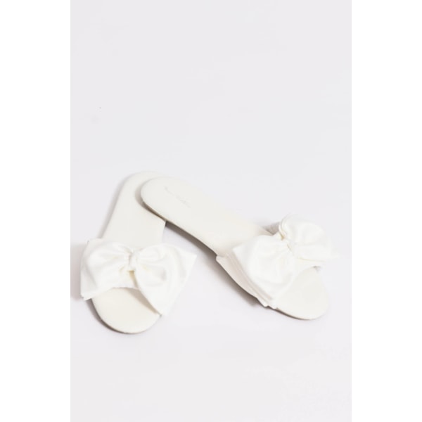 image_33bcb2c9-f537-42ed-8a6b-8bdf272f0f29