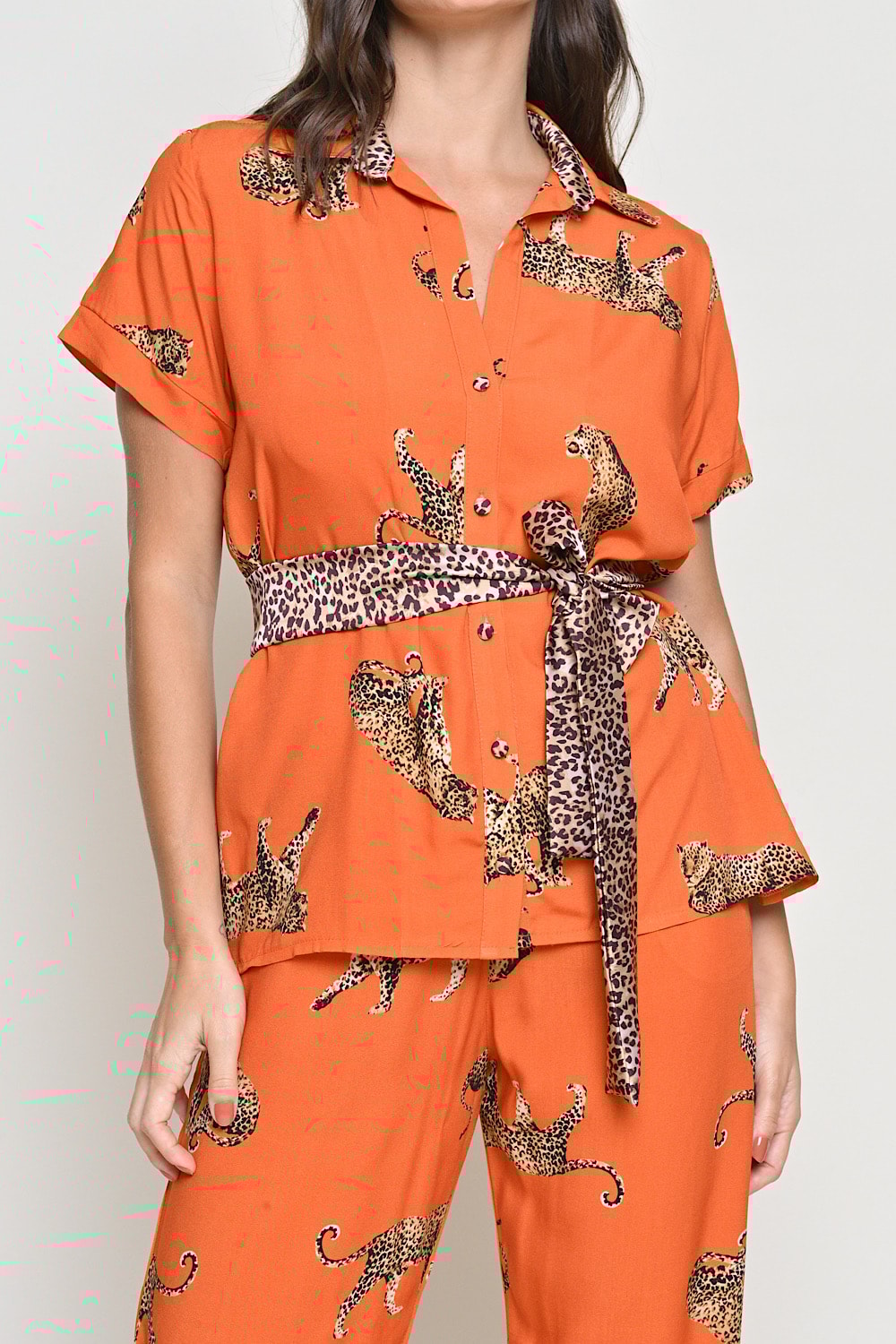 image_2c93d899-0097-4b40-9cac-096891c5c27a