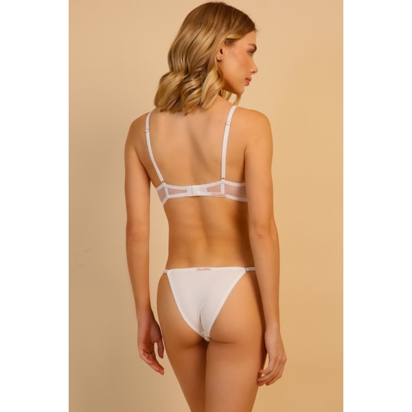 image_890543ae-2751-4ef0-b54e-1a12f494ed25